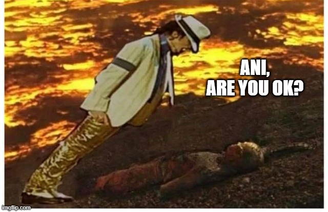 MJ Asks | ANI, ARE YOU OK? | image tagged in anakin skywalker | made w/ Imgflip meme maker