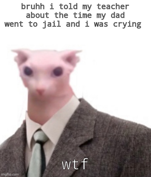 crybaby | bruhh i told my teacher about the time my dad went to jail and i was crying; wtf | image tagged in bingus | made w/ Imgflip meme maker