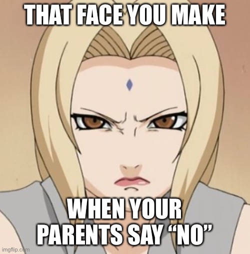 No | THAT FACE YOU MAKE; WHEN YOUR PARENTS SAY “NO” | image tagged in tsunade,that face you make when,memes,naruto,tsunade senju | made w/ Imgflip meme maker