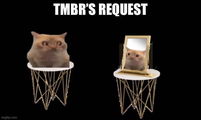 One image is from Twitter | TMBR’S REQUEST | image tagged in request | made w/ Imgflip meme maker
