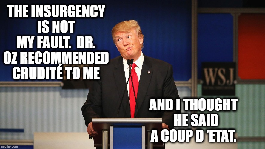 Trump's Confusion over Jan 6th | THE INSURGENCY IS NOT MY FAULT.  DR. OZ RECOMMENDED CRUDITÉ TO ME; AND I THOUGHT   HE SAID A COUP D ’ETAT. | image tagged in trump,maga,donald trump approves,donald trump you're fired,donald trump is an idiot,right wing | made w/ Imgflip meme maker