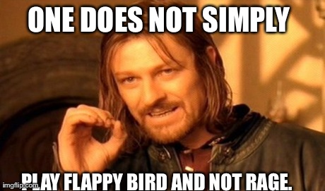 Hmm. | ONE DOES NOT SIMPLY  PLAY FLAPPY BIRD AND NOT RAGE. | image tagged in memes,one does not simply,flappy bird | made w/ Imgflip meme maker