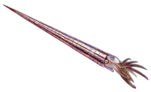 Cameroceras Meme Template