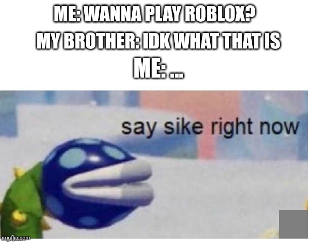 say sike right now |  ME: WANNA PLAY ROBLOX? MY BROTHER: IDK WHAT THAT IS; ME: ... | image tagged in say sike right now | made w/ Imgflip meme maker