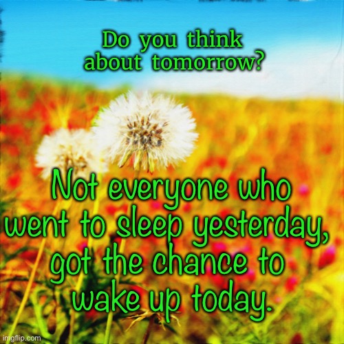 Think of tomorrow | Do  you  think  about  tomorrow? Not everyone who went to sleep yesterday, 
got the chance to 
wake up today. | image tagged in beautiful field,do yo think,of tomorrow,sleep yesterday,did not get chance,to wake today | made w/ Imgflip meme maker