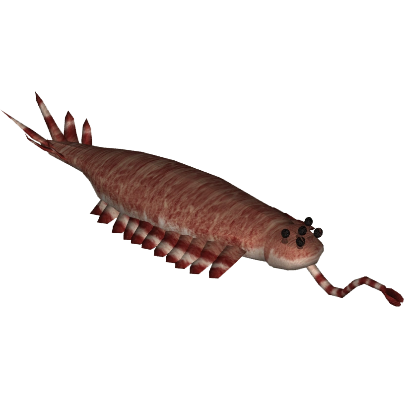 Opabinia Blank Meme Template