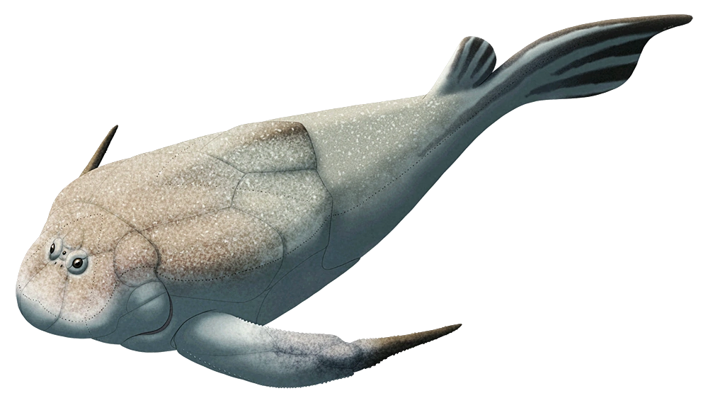 Bothriolepis Blank Meme Template