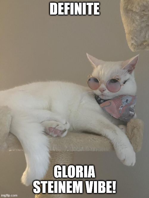 Definite Gloria Steinhem Vibe | DEFINITE; GLORIA STEINEM VIBE! | image tagged in cats,funny cats,cats are awesome | made w/ Imgflip meme maker