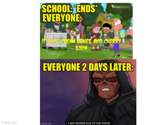 Who else gets really bored over the summer | image tagged in phineas and ferb,summer,red skull | made w/ Imgflip meme maker