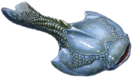 Drepanaspis Blank Meme Template