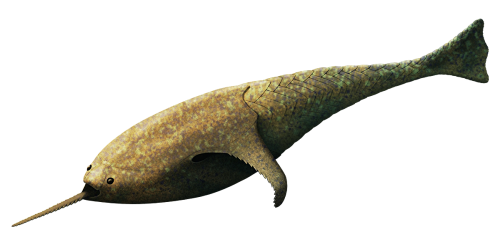 Doryaspis Blank Meme Template