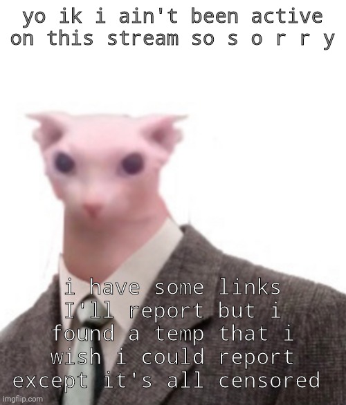 makes me uncomfortable tbh | yo ik i ain't been active on this stream so s o r r y; i have some links I'll report but i found a temp that i wish i could report except it's all censored | image tagged in bingus | made w/ Imgflip meme maker