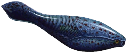 Arandaspis Blank Meme Template