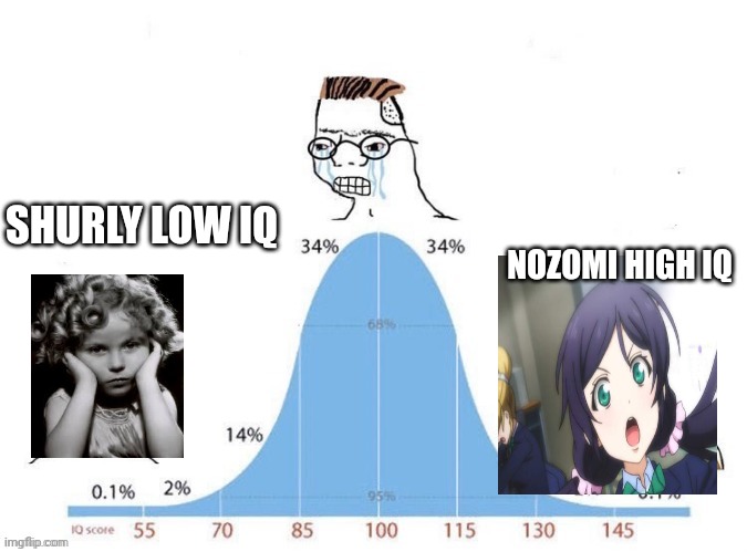 Bell Curve | SHURLY LOW IQ NOZOMI HIGH IQ | image tagged in bell curve | made w/ Imgflip meme maker