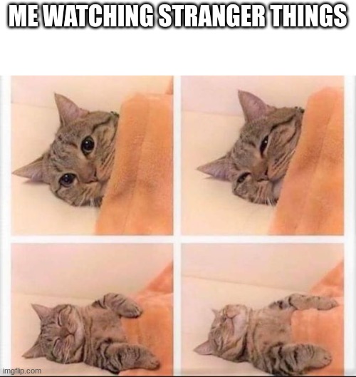 lololol | ME WATCHING STRANGER THINGS | image tagged in cat sleeping | made w/ Imgflip meme maker