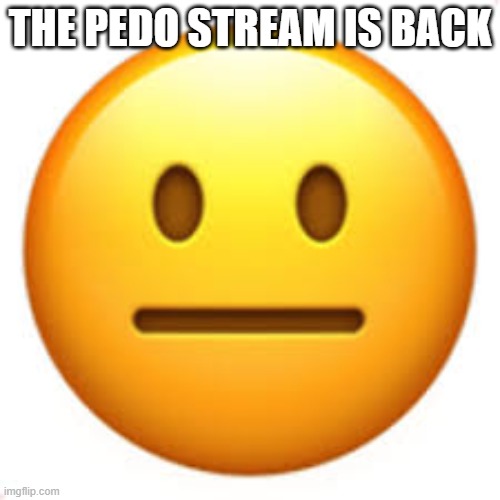 Not funny | THE PEDO STREAM IS BACK | image tagged in not funny | made w/ Imgflip meme maker