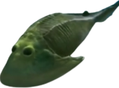 Cephalaspis Meme Template