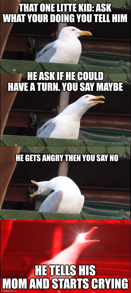 Inhaling Seagull | THAT ONE LITTE KID: ASK WHAT YOUR DOING YOU TELL HIM; HE ASK IF HE COULD HAVE A TURN. YOU SAY MAYBE; HE GETS ANGRY THEN YOU SAY NO; HE TELLS HIS MOM AND STARTS CRYING | image tagged in memes,inhaling seagull | made w/ Imgflip meme maker