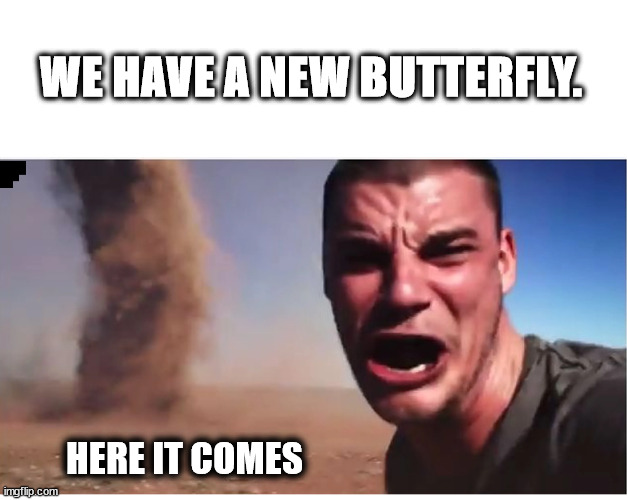 Cause and Effect |  WE HAVE A NEW BUTTERFLY. HERE IT COMES | image tagged in here it come meme,memes,funny,fun,butterfly | made w/ Imgflip meme maker