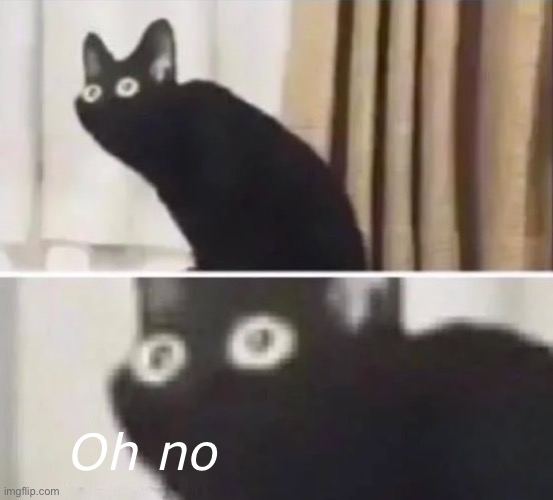 Oh no black cat | Oh no | image tagged in oh no black cat | made w/ Imgflip meme maker