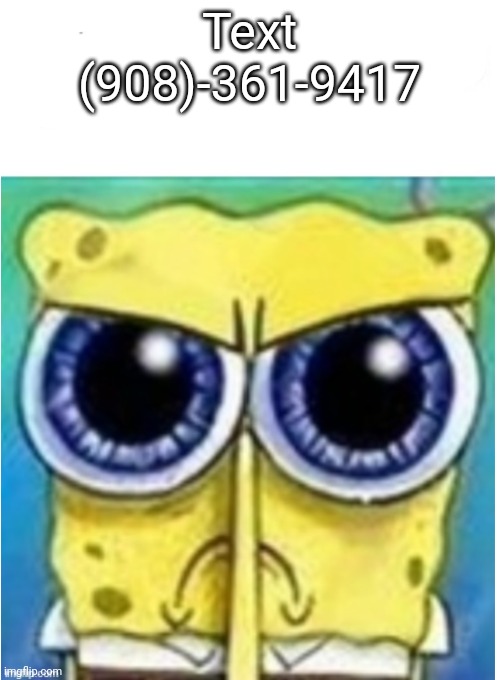 Angry spongebob blank | Text (908)-361-9417 | image tagged in angry spongebob blank | made w/ Imgflip meme maker