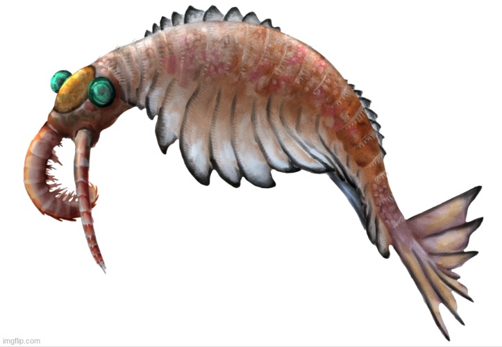 Anomalocaris | image tagged in anomalocaris | made w/ Imgflip meme maker
