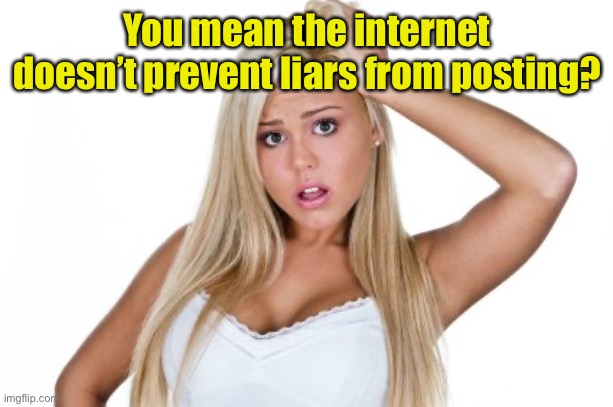 Dumb Blonde | You mean the internet doesn’t prevent liars from posting? | image tagged in dumb blonde | made w/ Imgflip meme maker