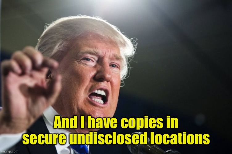 donald trump | And I have copies in secure undisclosed locations | image tagged in donald trump | made w/ Imgflip meme maker