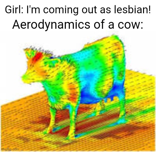 Aerodynamics of a cow | Girl: I'm coming out as lesbian! Aerodynamics of a cow: | image tagged in aerodynamics of a cow | made w/ Imgflip meme maker