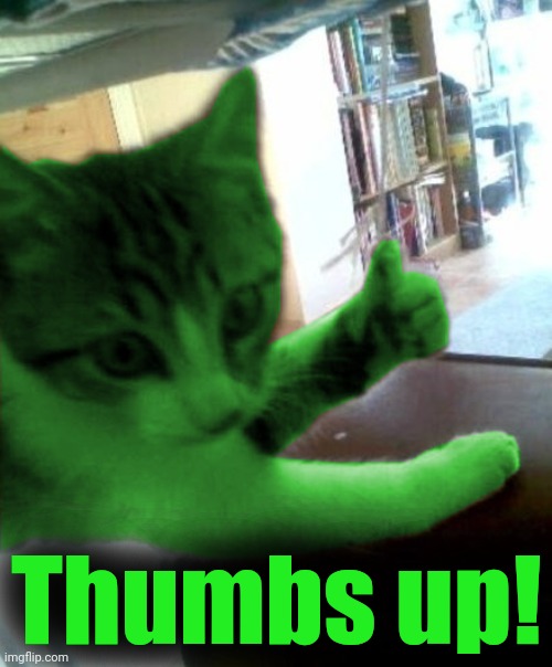 thumbs up RayCat | Thumbs up! | image tagged in thumbs up raycat | made w/ Imgflip meme maker