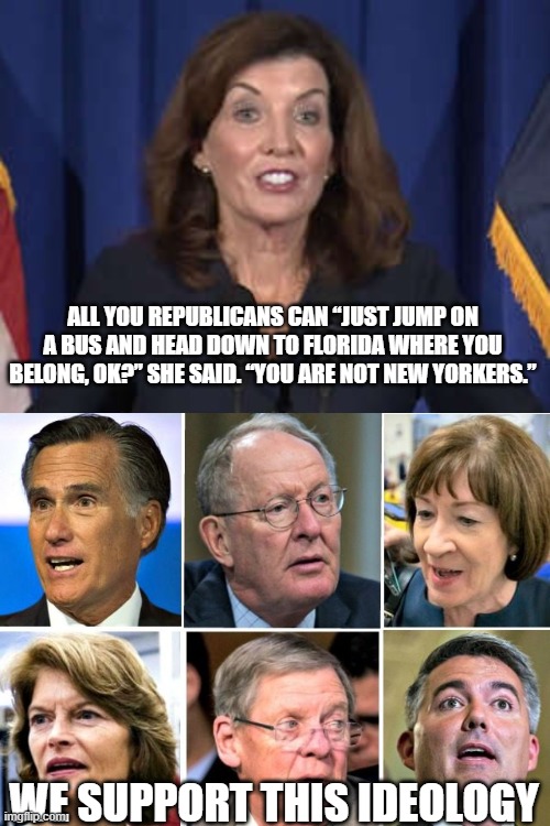Birds of a feather | ALL YOU REPUBLICANS CAN “JUST JUMP ON A BUS AND HEAD DOWN TO FLORIDA WHERE YOU BELONG, OK?” SHE SAID. “YOU ARE NOT NEW YORKERS.”; WE SUPPORT THIS IDEOLOGY | image tagged in kathy hochul,rino republicans | made w/ Imgflip meme maker