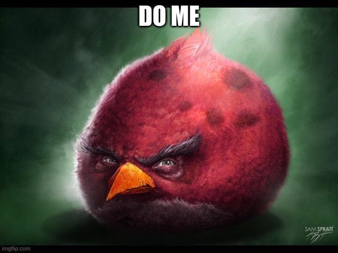 Realistic Angry Bird (big red) | DO ME | image tagged in realistic angry bird big red | made w/ Imgflip meme maker