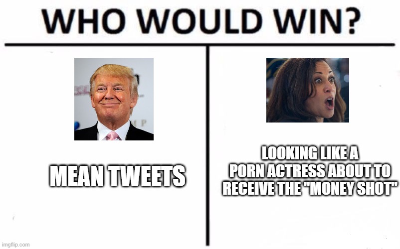 Who Would Win? Meme | MEAN TWEETS LOOKING LIKE A PORN ACTRESS ABOUT TO RECEIVE THE "MONEY SHOT" | image tagged in memes,who would win | made w/ Imgflip meme maker