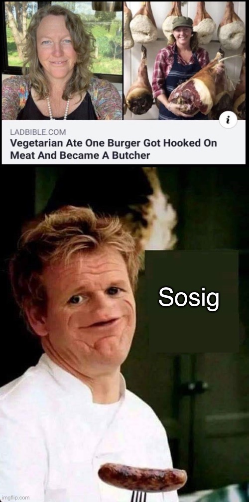 Gordon ramsay has a plan guys | Sosig | made w/ Imgflip meme maker