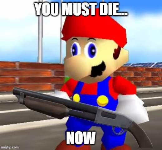 hehe haha | YOU MUST DIE... NOW | image tagged in smg4 shotgun mario | made w/ Imgflip meme maker