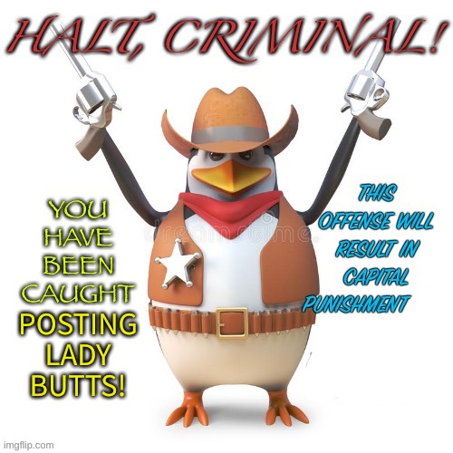 Halt, criminal! Original temp | POSTING LADY BUTTS! | image tagged in halt criminal original temp | made w/ Imgflip meme maker