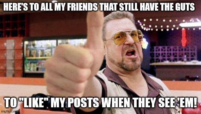 Guts to like posts | HERE'S TO ALL MY FRIENDS THAT STILL HAVE THE GUTS; TO "LIKE" MY POSTS WHEN THEY SEE 'EM! | image tagged in facebook,posts,thumbs up | made w/ Imgflip meme maker