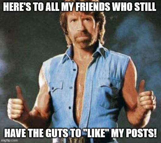 chuck the post liker | HERE'S TO ALL MY FRIENDS WHO STILL; HAVE THE GUTS TO "LIKE" MY POSTS! | image tagged in chuck norris,thumbs up,facebook,posts | made w/ Imgflip meme maker