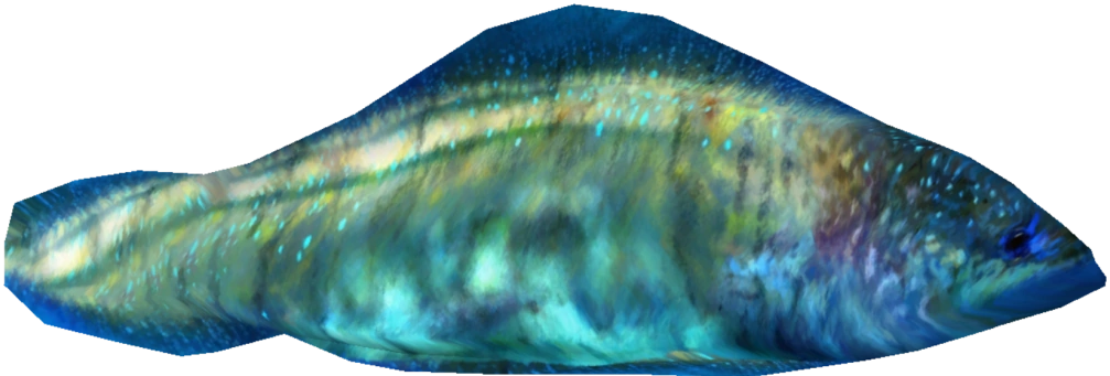 Haikouichthys Blank Meme Template