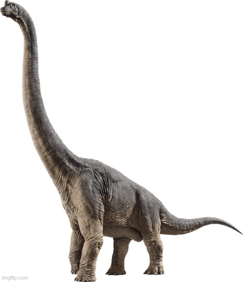 The Long Neck Boi | image tagged in brachiosaurus | made w/ Imgflip meme maker