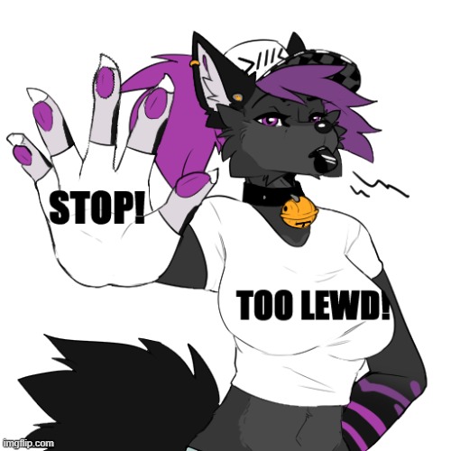 Stop, Too lewd! | image tagged in stop too lewd | made w/ Imgflip meme maker