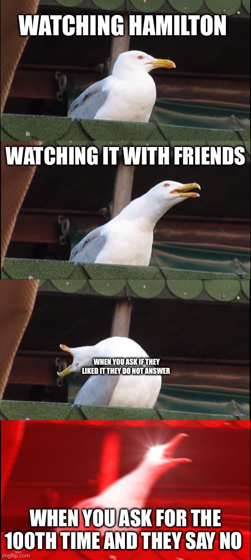 Inhaling Seagull Meme |  WATCHING HAMILTON; WATCHING IT WITH FRIENDS; WHEN YOU ASK IF THEY LIKED IT THEY DO NOT ANSWER; WHEN YOU ASK FOR THE 100TH TIME AND THEY SAY NO | image tagged in memes,inhaling seagull | made w/ Imgflip meme maker