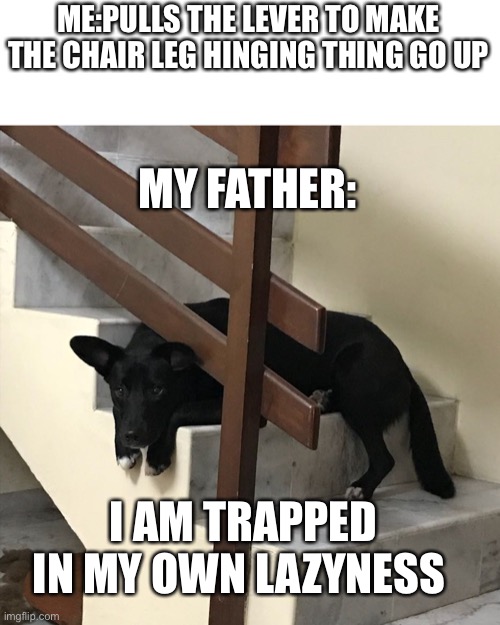Idk man | ME:PULLS THE LEVER TO MAKE THE CHAIR LEG HINGING THING GO UP; MY FATHER:; I AM TRAPPED IN MY OWN LAZYNESS | image tagged in dog traped on stairs | made w/ Imgflip meme maker