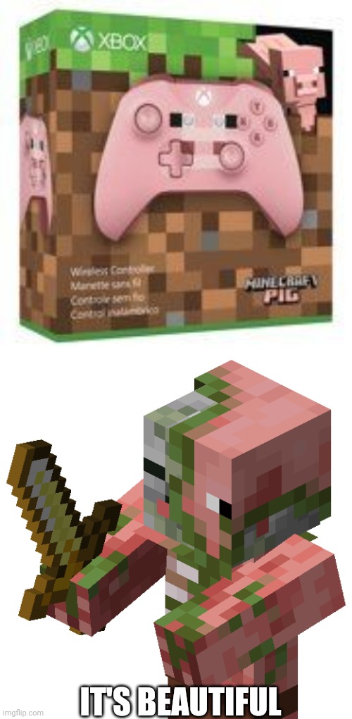 A CONTROLLER FOR PIGMEN | IT'S BEAUTIFUL | image tagged in zombie pigmen,minecraft,xbox,xbox one | made w/ Imgflip meme maker