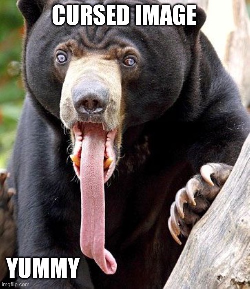 Cursed Bear | CURSED IMAGE; YUMMY | image tagged in yummy,imgflip,imgflip users,meme | made w/ Imgflip meme maker