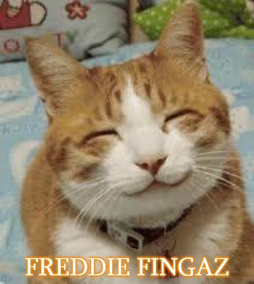Happy cat | FREDDIE FINGAZ | image tagged in happy cat,freddie fingaz,slavic | made w/ Imgflip meme maker
