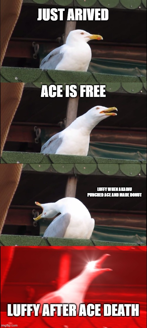 one piece (spoiler alert) meme | JUST ARIVED; ACE IS FREE; LUFFY WHEN AKAINU PUNCHED ACE AND MADE DONUT; LUFFY AFTER ACE DEATH | image tagged in memes,inhaling seagull | made w/ Imgflip meme maker