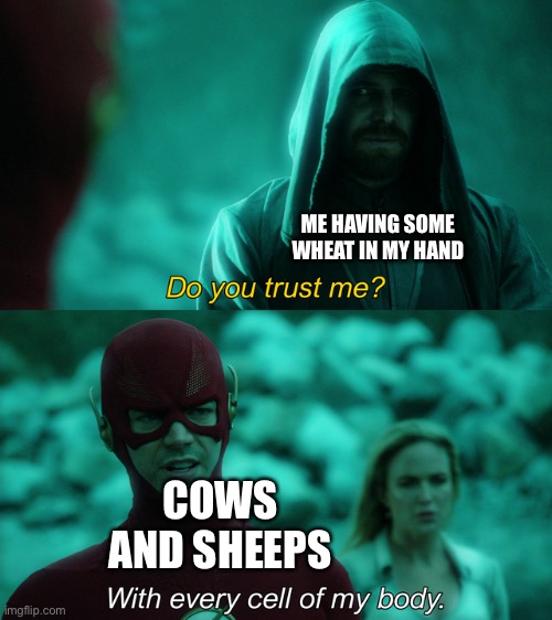 Do you trust me? | ME HAVING SOME WHEAT IN MY HAND; COWS AND SHEEPS | image tagged in do you trust me | made w/ Imgflip meme maker