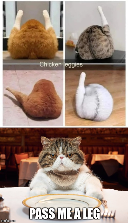 Kitties look like chickens. You are what you eat after all. | PASS ME A LEG | image tagged in hungry cat,cat,cats | made w/ Imgflip meme maker