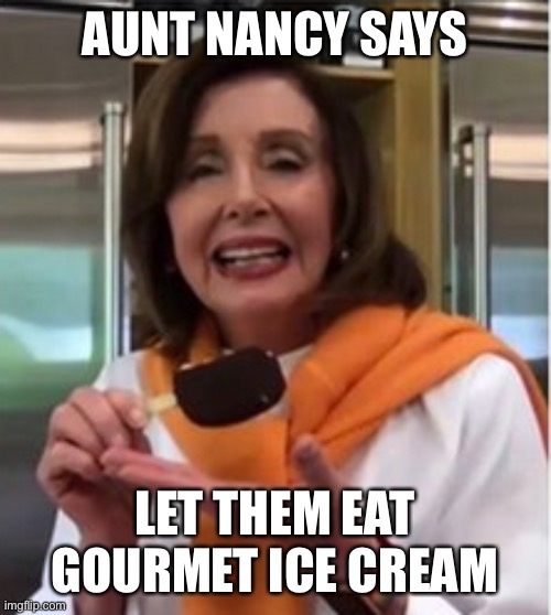 Nancy Antoinette | AUNT NANCY SAYS LET THEM EAT GOURMET ICE CREAM | image tagged in nancy antoinette | made w/ Imgflip meme maker